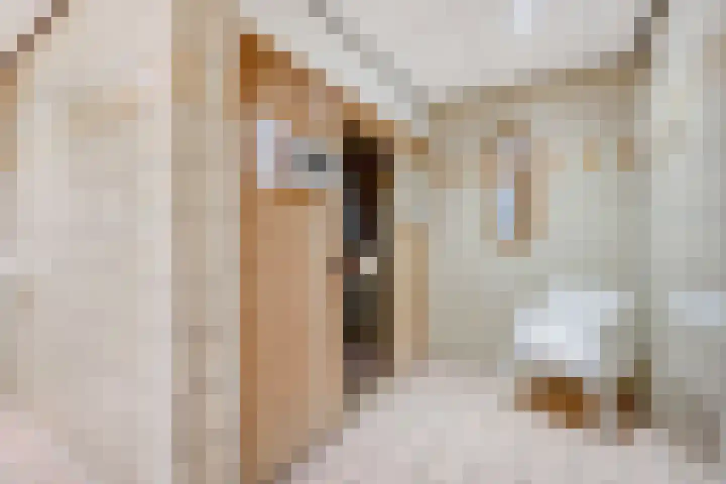 Noteboompark 17 Voorburg thumbnail 40