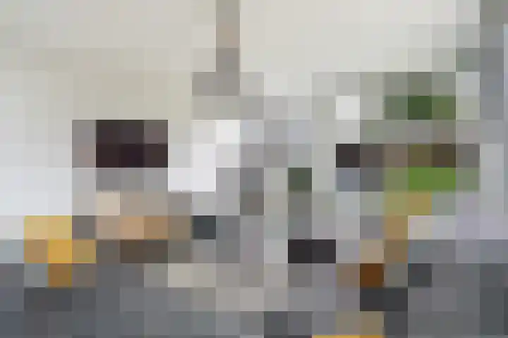 Noteboompark 17 Voorburg thumbnail 41