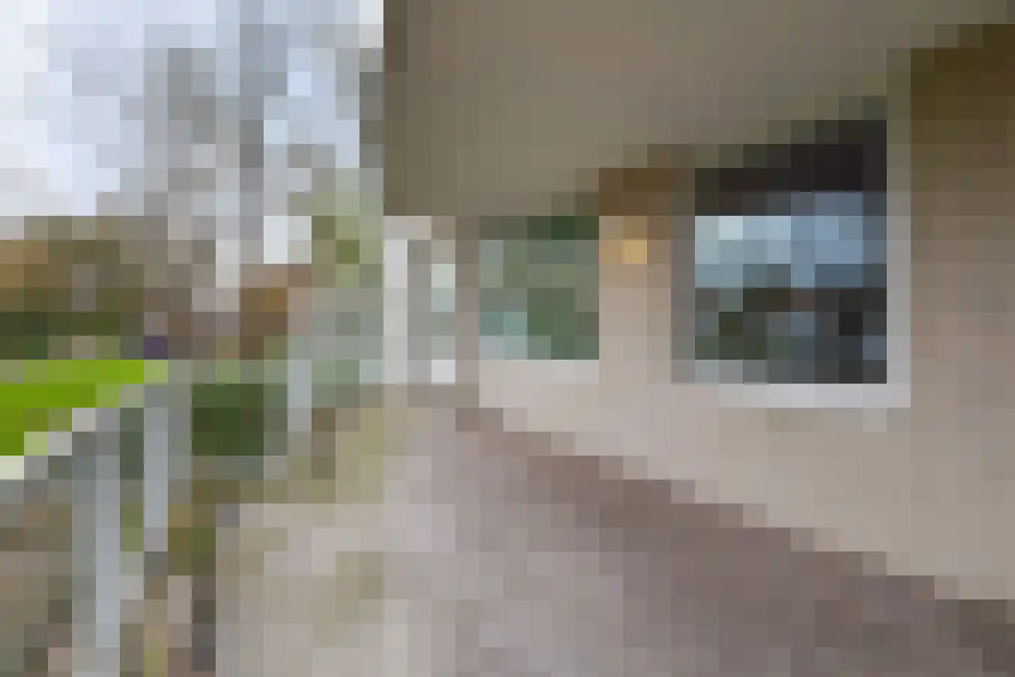 Noteboompark 3 Voorburg thumbnail 31