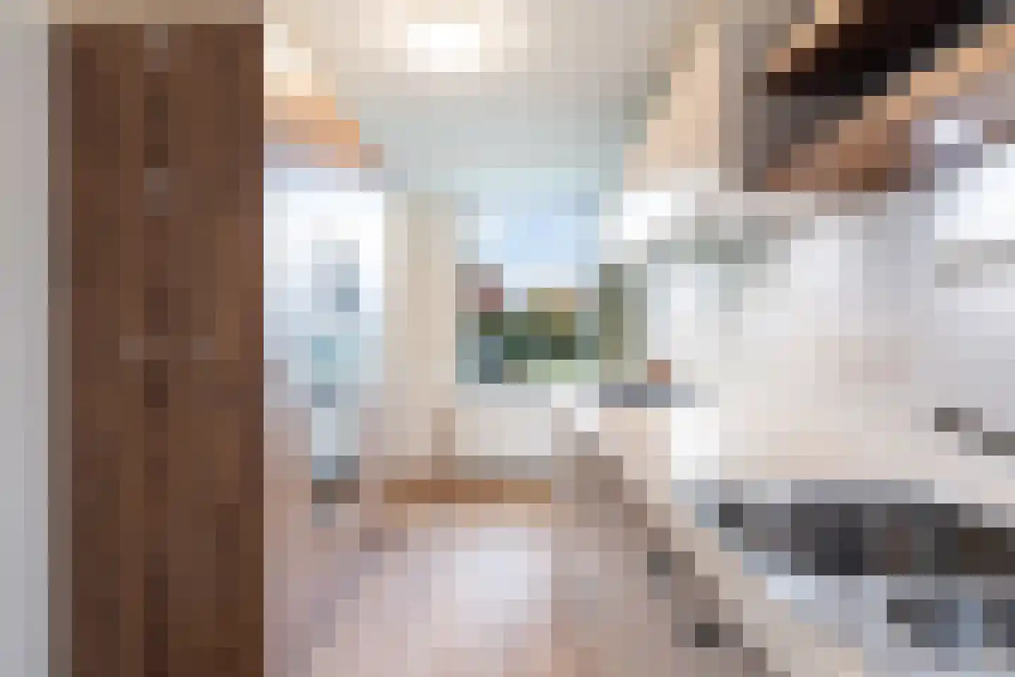 Noteboompark 3 Voorburg thumbnail 35