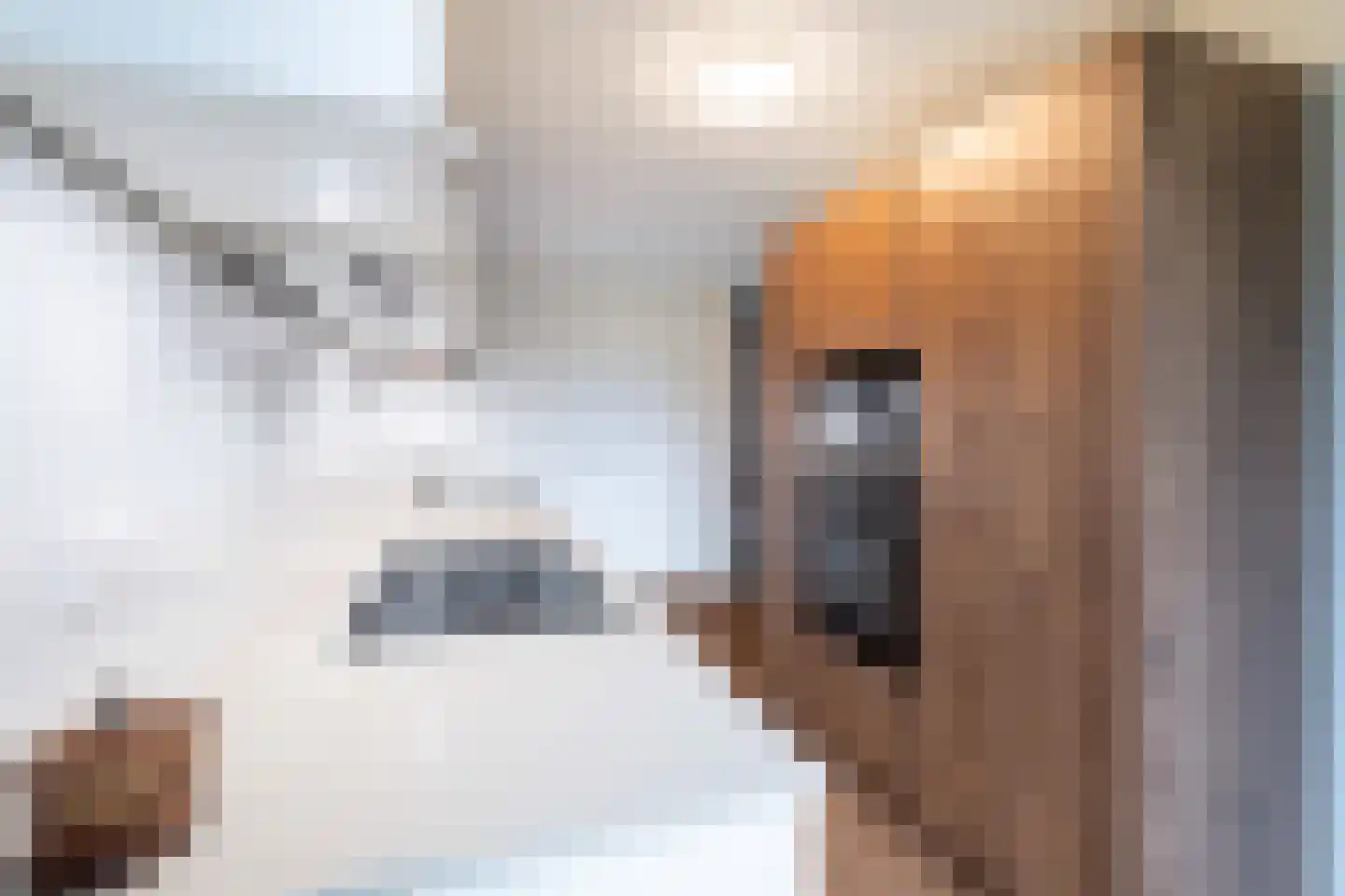 Noteboompark 3 Voorburg thumbnail 37