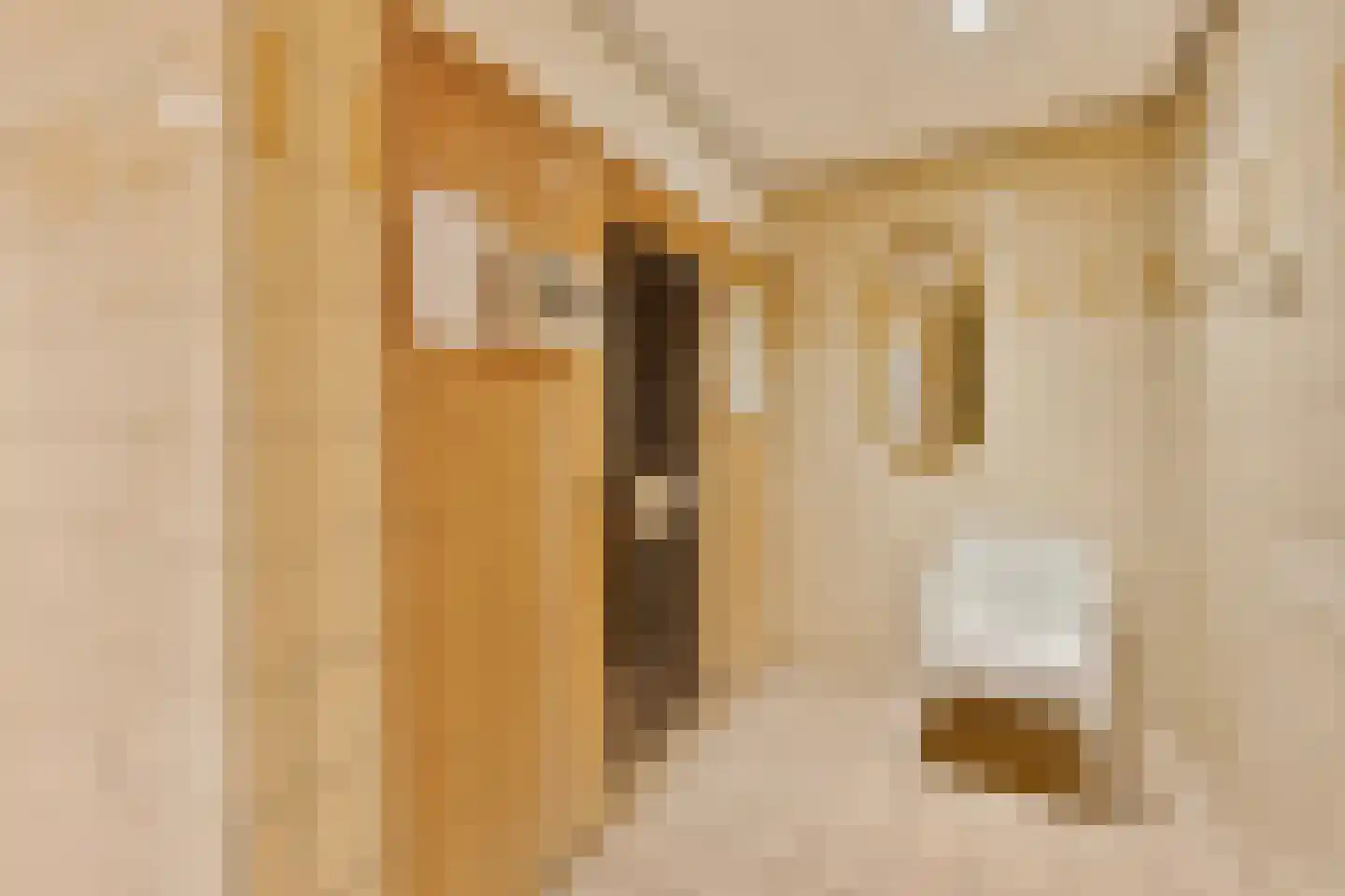 Noteboompark 3 Voorburg thumbnail 56