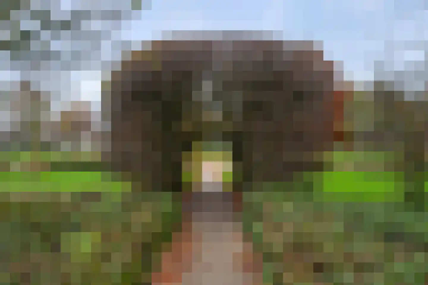 Noteboompark 3 Voorburg thumbnail 60