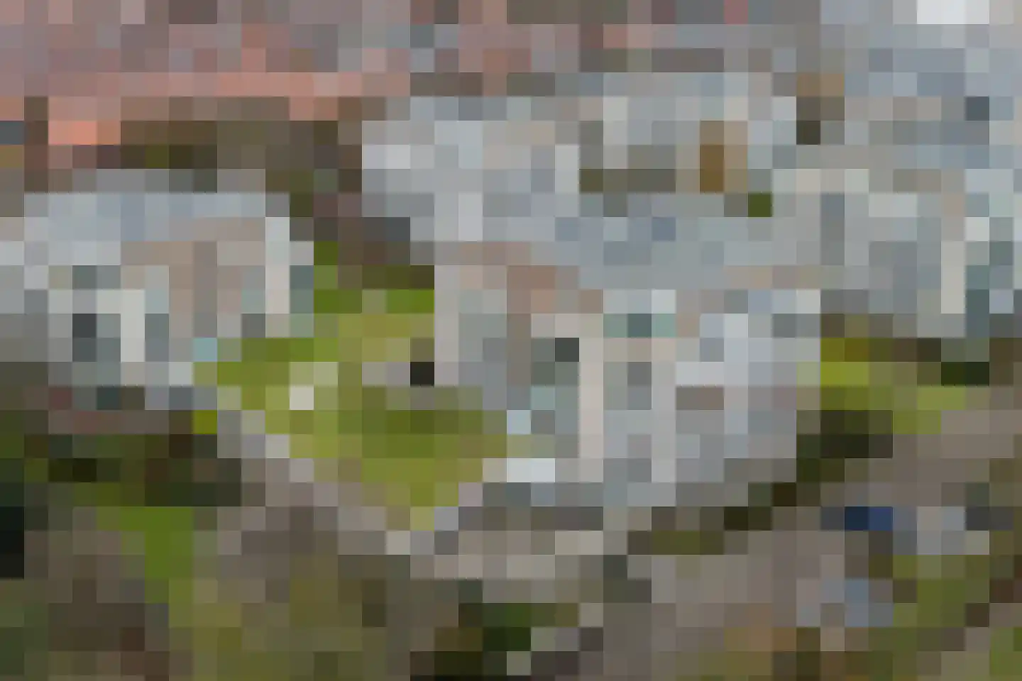 Noteboompark 3 Voorburg thumbnail 65