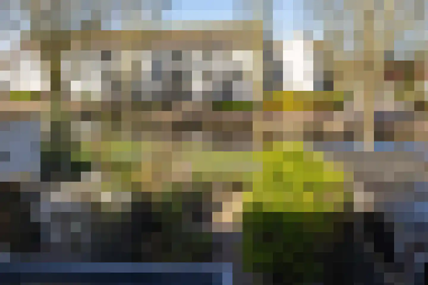 Noteboomstraat 10 Leeuwarden thumbnail 33