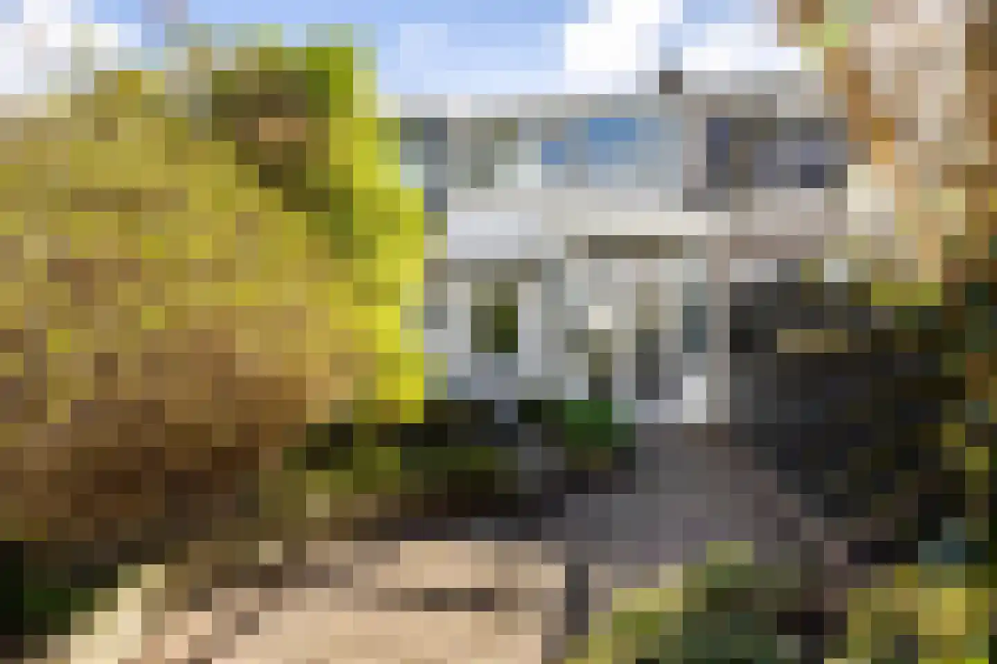 Noteboomstraat 10 Leeuwarden thumbnail 4