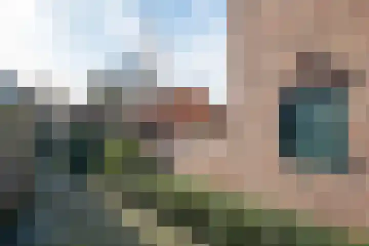 Noteboomstraat 10 Winterswijk thumbnail 32