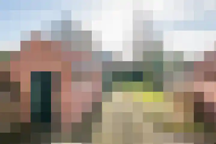 Noteboomstraat 10 Winterswijk thumbnail 38