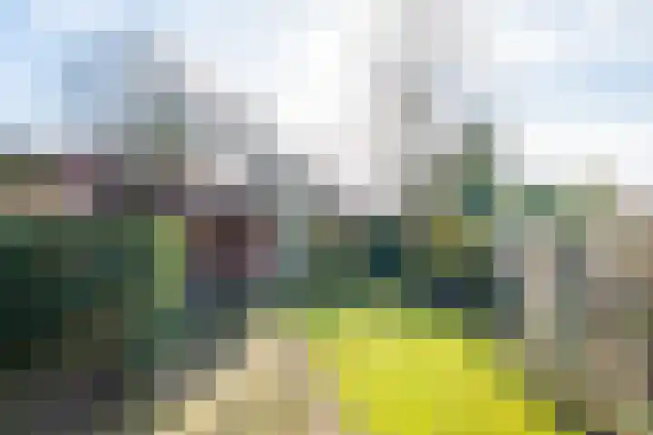 Noteboomstraat 10 Winterswijk thumbnail 39