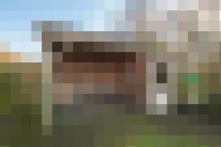 Noteboomstraat 10 Winterswijk thumbnail 43