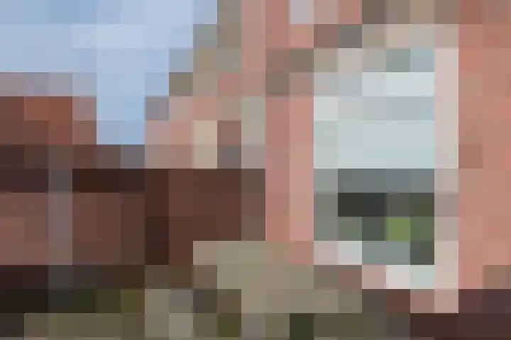 Noteboomstraat 10 Winterswijk thumbnail 50