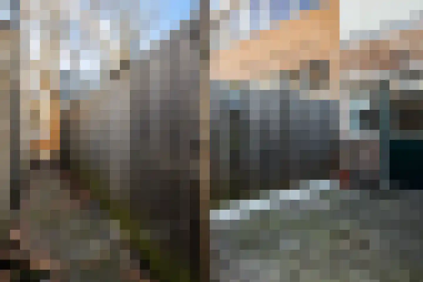 Noteboomstraat 11 Leeuwarden thumbnail 24