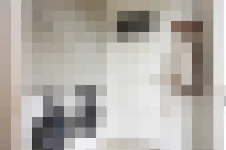 Noteboomstraat 13 Winterswijk thumbnail 16