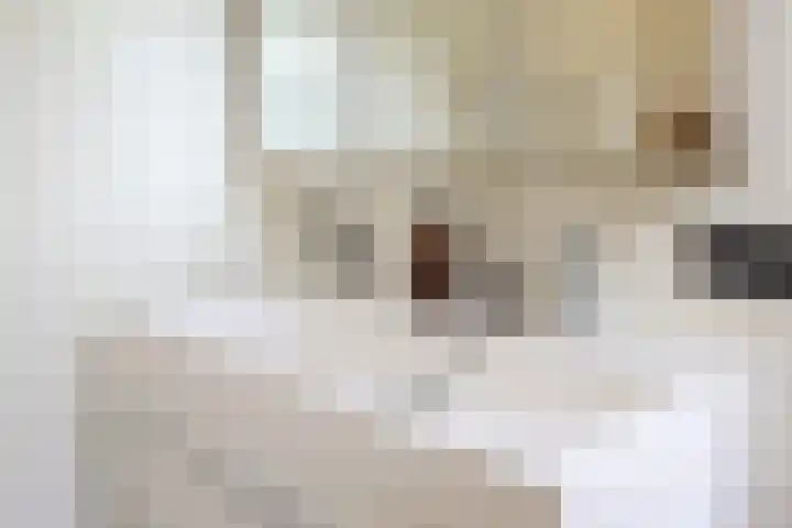 Noteboomstraat 13 Winterswijk thumbnail 20