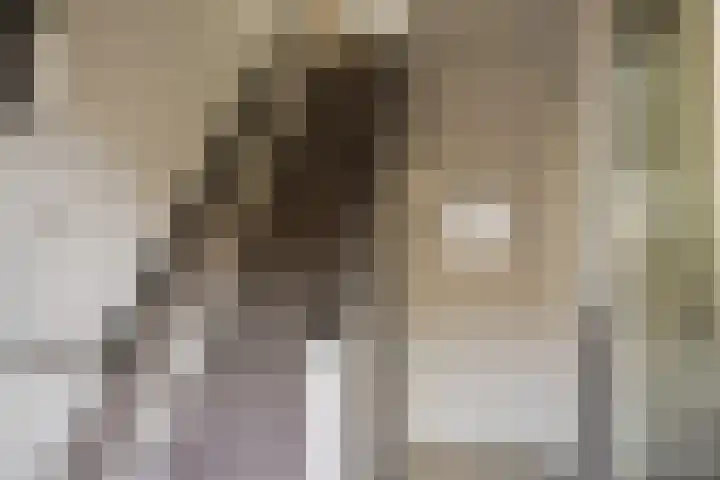 Noteboomstraat 13 Winterswijk thumbnail 22
