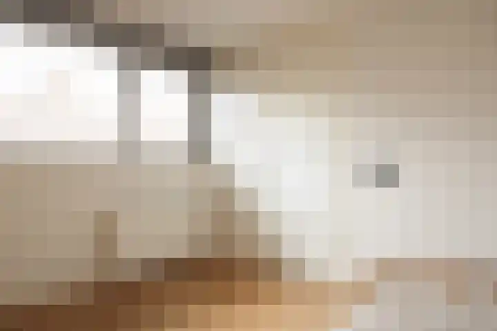 Noteboomstraat 13 Winterswijk thumbnail 25
