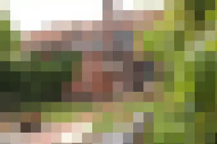 Noteboomstraat 13 Winterswijk thumbnail 35