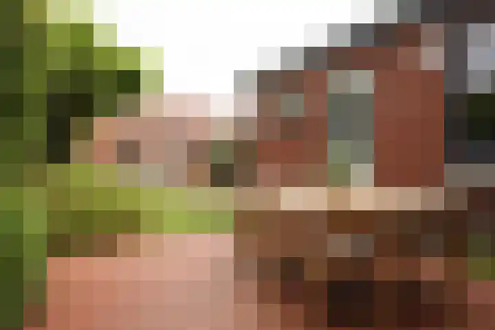 Noteboomstraat 13 Winterswijk thumbnail 36