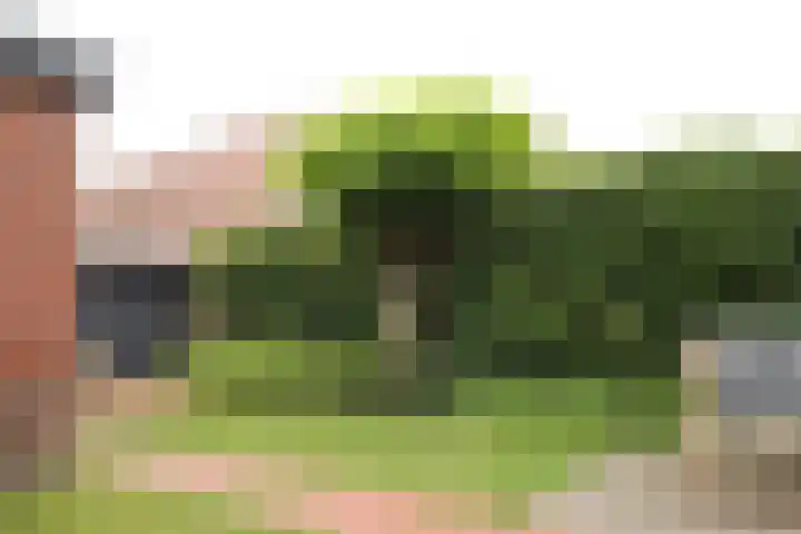 Noteboomstraat 13 Winterswijk thumbnail 38