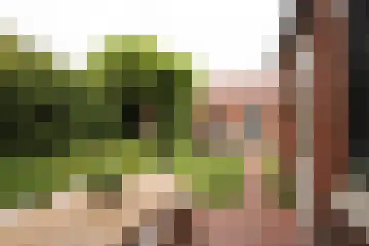 Noteboomstraat 13 Winterswijk thumbnail 39
