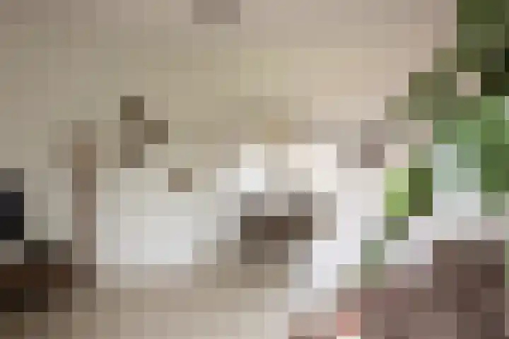 Noteboomstraat 13 Winterswijk thumbnail 4