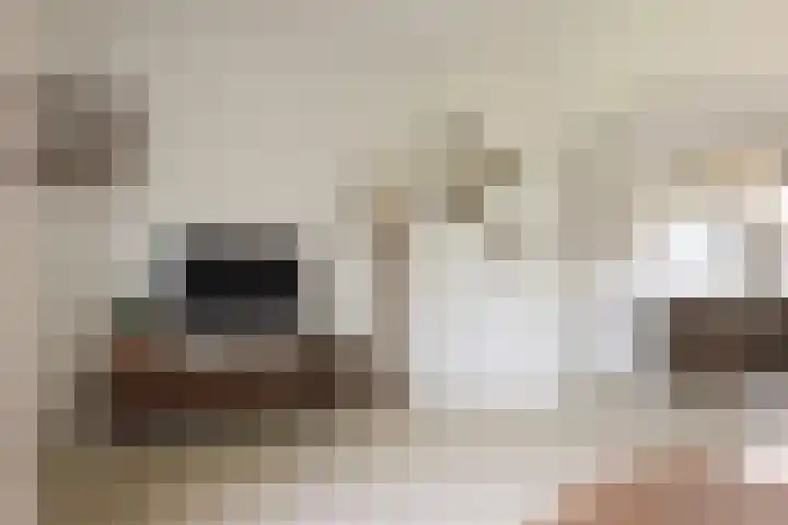 Noteboomstraat 13 Winterswijk thumbnail 7