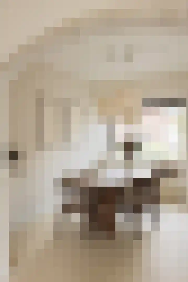 Noteboomstraat 13 Winterswijk thumbnail 8