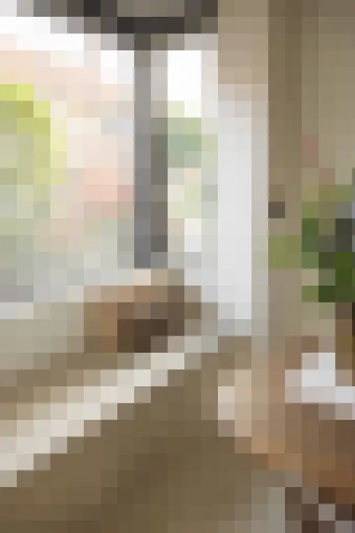 Noteboomstraat 13 Winterswijk thumbnail 9