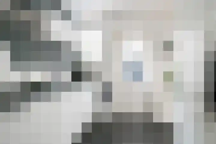 Noteboomstraat 16 Winterswijk thumbnail 15