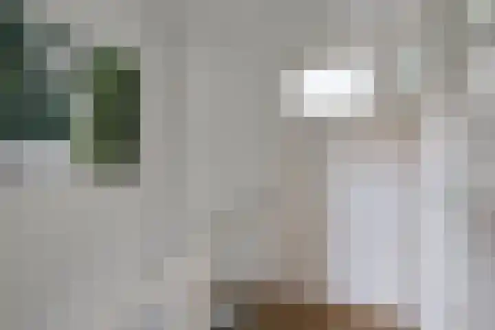 Noteboomstraat 16 Winterswijk thumbnail 32