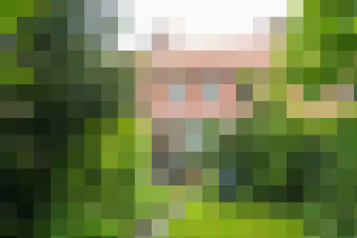 Noteboomstraat 16 Winterswijk thumbnail 33