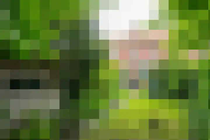 Noteboomstraat 16 Winterswijk thumbnail 34