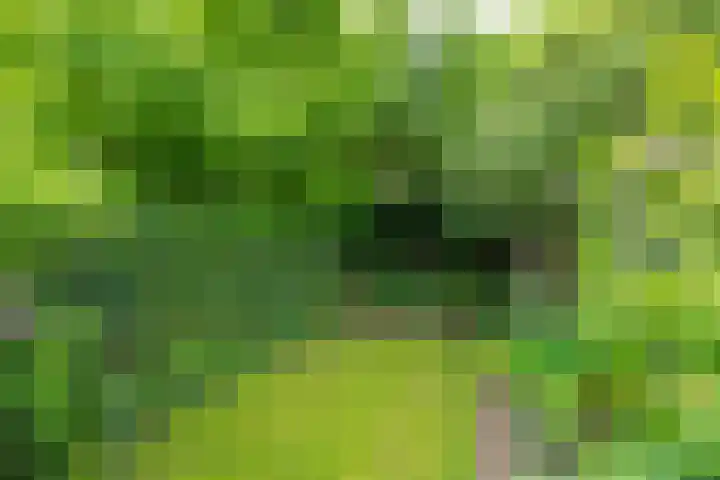 Noteboomstraat 16 Winterswijk thumbnail 36