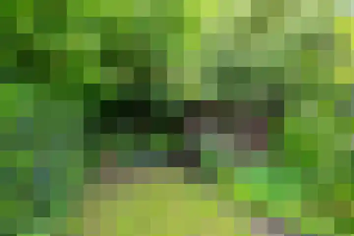 Noteboomstraat 16 Winterswijk thumbnail 37