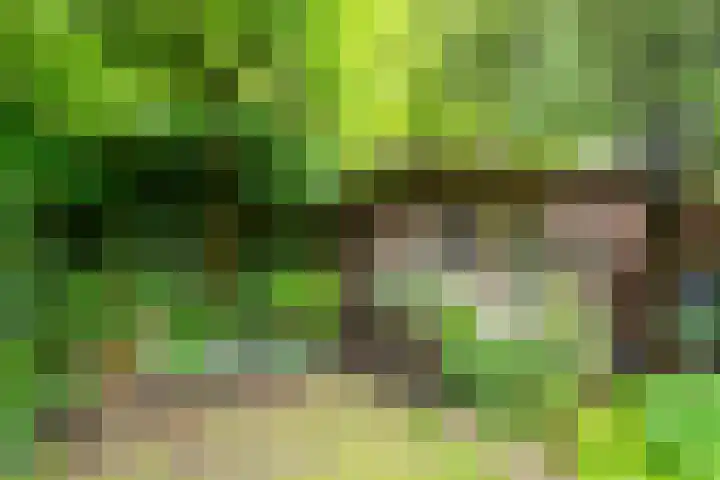 Noteboomstraat 16 Winterswijk thumbnail 38