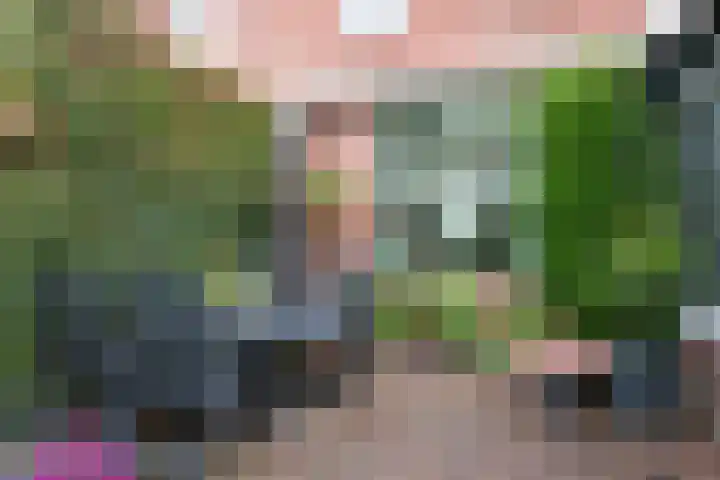 Noteboomstraat 16 Winterswijk thumbnail 39