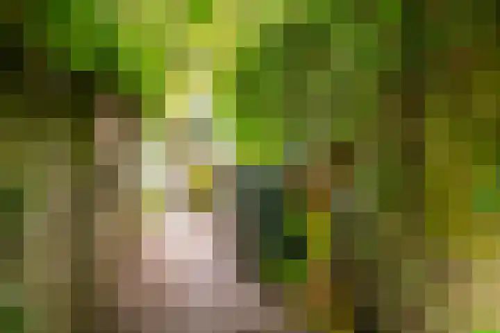 Noteboomstraat 16 Winterswijk thumbnail 41