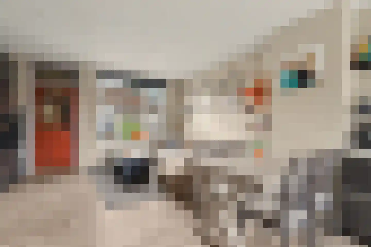 Noteboomstraat 23 Zwijndrecht thumbnail 10