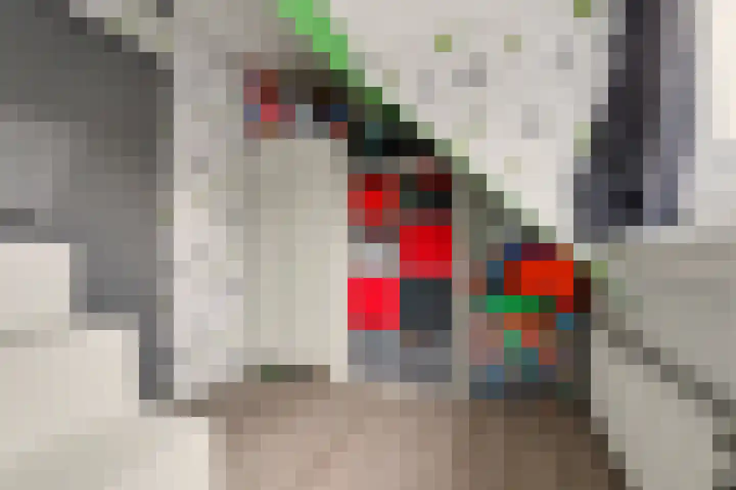 Noteboomstraat 23 Zwijndrecht thumbnail 24