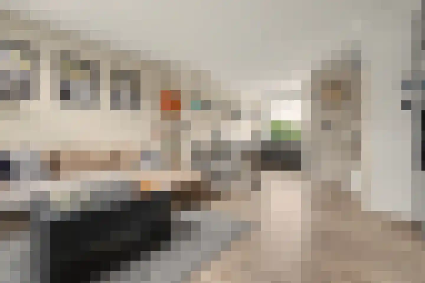 Noteboomstraat 23 Zwijndrecht thumbnail 9