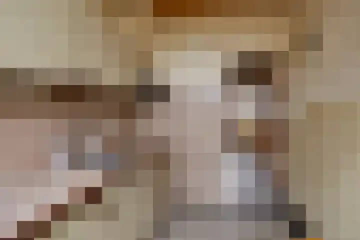 Noteboomstraat 47 Zwolle thumbnail 10