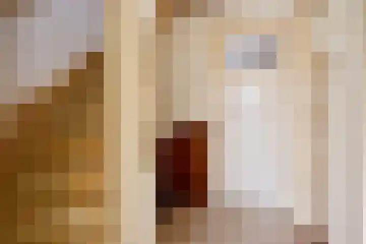 Noteboomstraat 47 Zwolle thumbnail 12