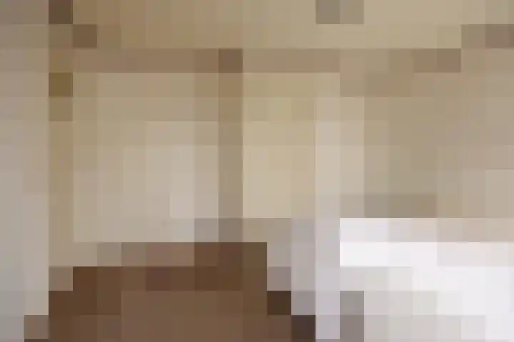 Noteboomstraat 47 Zwolle thumbnail 18