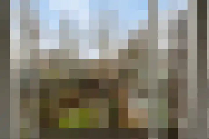 Noteboomstraat 47 Zwolle thumbnail 20