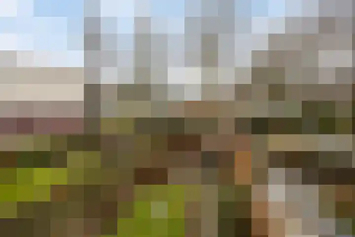 Noteboomstraat 47 Zwolle thumbnail 21