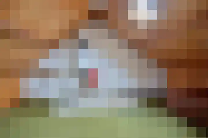 Noteboomstraat 47 Zwolle thumbnail 22