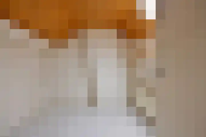 Noteboomstraat 47 Zwolle thumbnail 24