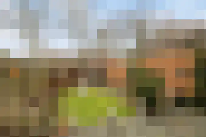 Noteboomstraat 47 Zwolle thumbnail 26