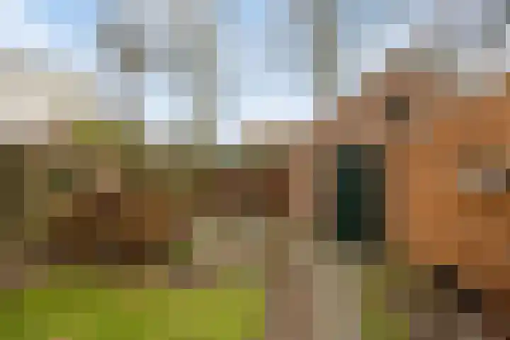 Noteboomstraat 47 Zwolle thumbnail 27