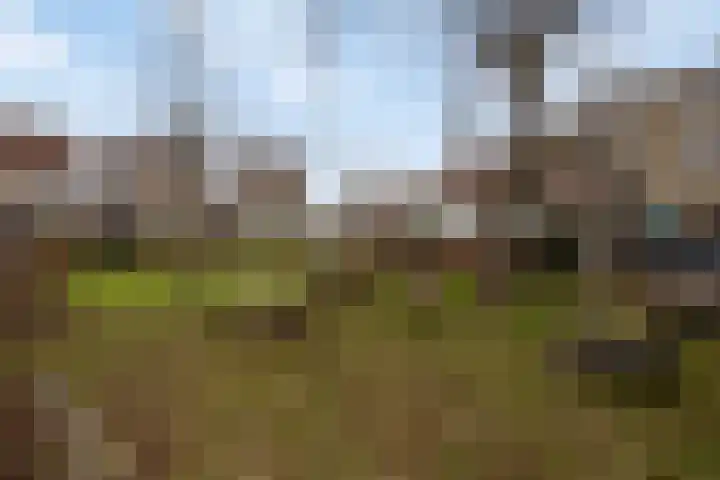Noteboomstraat 47 Zwolle thumbnail 30